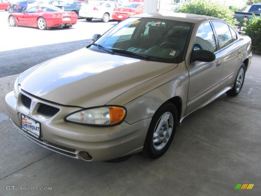 2005 Grand Am SE Sedan - Champagne Beige Metallic / Dark Taupe photo #21