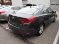 Platinum Graphite - Optima LX Photo No. 2