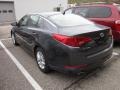 Platinum Graphite - Optima LX Photo No. 3