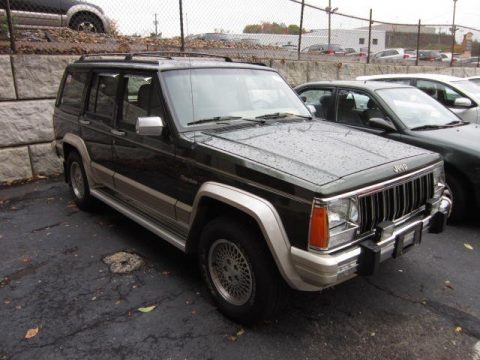 1995 Jeep Cherokee Country 4x4 Data, Info and Specs