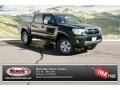 Spruce Green Mica 2013 Toyota Tacoma Gallery