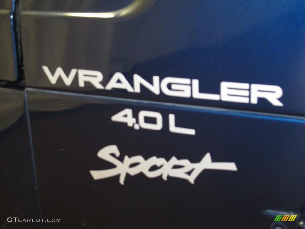 2001 Wrangler Sport 4x4 - Patriot Blue Pearl / Agate Black photo #9