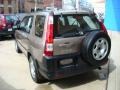 Sahara Sand Metallic - CR-V LX 4WD Photo No. 4
