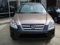 Sahara Sand Metallic - CR-V LX 4WD Photo No. 7
