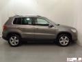 Alpine Grey Metallic - Tiguan S Photo No. 6