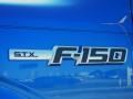 2013 Blue Flame Metallic Ford F150 STX Regular Cab  photo #4