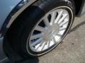 Silver Birch Metallic - Town Car Executive Photo No. 9