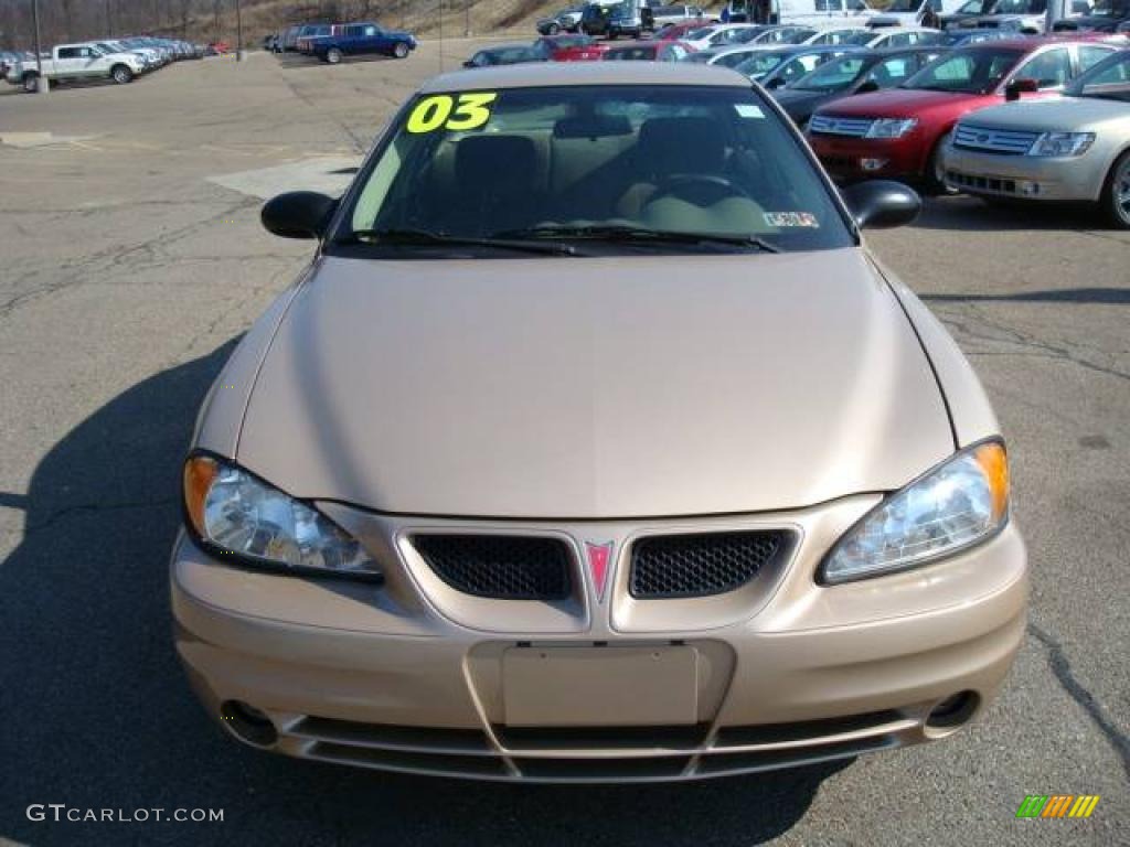 2003 Grand Am SE Sedan - Champagne Beige Metallic / Dark Taupe photo #7