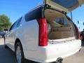 White Diamond - SRX V6 Photo No. 9