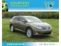 2009 Sunset Bronze Mica Toyota Venza I4  photo #1