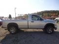 Bright Silver Metallic - Ram 2500 SLT Regular Cab 4x4 Photo No. 7