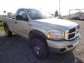 Bright Silver Metallic - Ram 2500 SLT Regular Cab 4x4 Photo No. 10