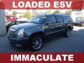 2008 Stealth Gray Cadillac Escalade ESV AWD  photo #1