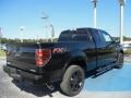 2013 Tuxedo Black Metallic Ford F150 FX4 SuperCab 4x4  photo #3