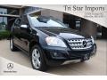 Black - ML 350 4Matic Photo No. 1