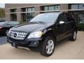 Black - ML 350 4Matic Photo No. 5