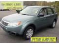 2010 Sage Green Metallic Subaru Forester 2.5 X  photo #1