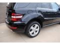 Black - ML 350 4Matic Photo No. 13