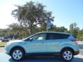 2013 Frosted Glass Metallic Ford Escape SE 2.0L EcoBoost  photo #2