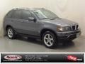 Steel Grey Metallic - X5 3.0i Photo No. 1