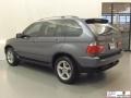 Steel Grey Metallic - X5 3.0i Photo No. 21