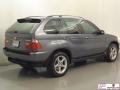 Steel Grey Metallic - X5 3.0i Photo No. 22