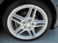 Steel Grey Metallic - C 250 Coupe Photo No. 4