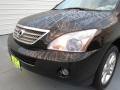 Black Onyx - RX 400h AWD Hybrid Photo No. 9