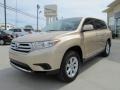 Sandy Beach Metallic - Highlander  Photo No. 5
