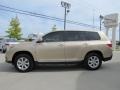 Sandy Beach Metallic - Highlander  Photo No. 7