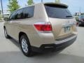 Sandy Beach Metallic - Highlander  Photo No. 8