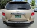 Sandy Beach Metallic - Highlander  Photo No. 9