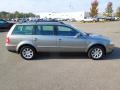 Stonehenge Grey Metallic - Passat GLS Wagon Photo No. 6