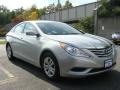 Radiant Silver - Sonata GLS Photo No. 3
