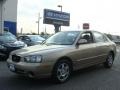 2002 Champagne Beige Hyundai Elantra GLS Sedan  photo #1