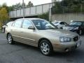 2002 Champagne Beige Hyundai Elantra GLS Sedan  photo #3