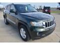 Natural Green Pearl - Grand Cherokee Laredo Photo No. 10