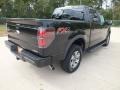 Tuxedo Black Metallic - F150 FX4 SuperCrew 4x4 Photo No. 5