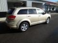 White Gold - Journey SXT Photo No. 6