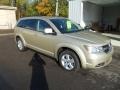 White Gold - Journey SXT Photo No. 7
