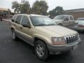 Champagne Pearlcoat - Grand Cherokee Laredo Photo No. 1