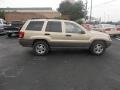 Champagne Pearlcoat - Grand Cherokee Laredo Photo No. 2