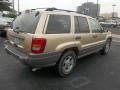 Champagne Pearlcoat - Grand Cherokee Laredo Photo No. 4