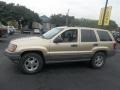 Champagne Pearlcoat - Grand Cherokee Laredo Photo No. 7