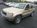 Champagne Pearlcoat - Grand Cherokee Laredo Photo No. 8