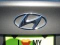 Desert Bronze - Elantra GLS Photo No. 12