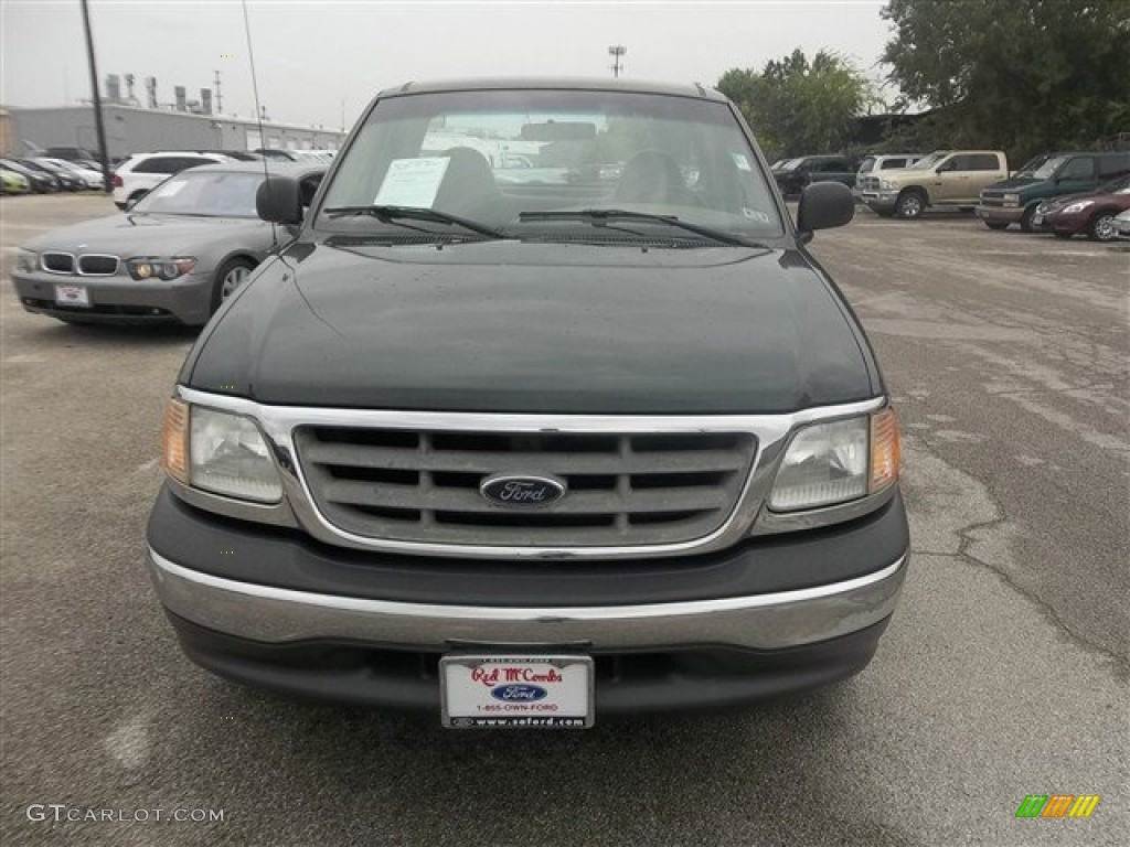 2002 F150 XL Regular Cab - Dark Highland Green Metallic / Medium Parchment photo #8