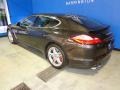 Carbon Grey Metallic - Panamera Turbo Photo No. 33