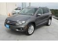 Pepper Gray Metallic - Tiguan SE Photo No. 3