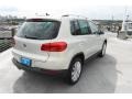 White Gold Metallic - Tiguan S Photo No. 7